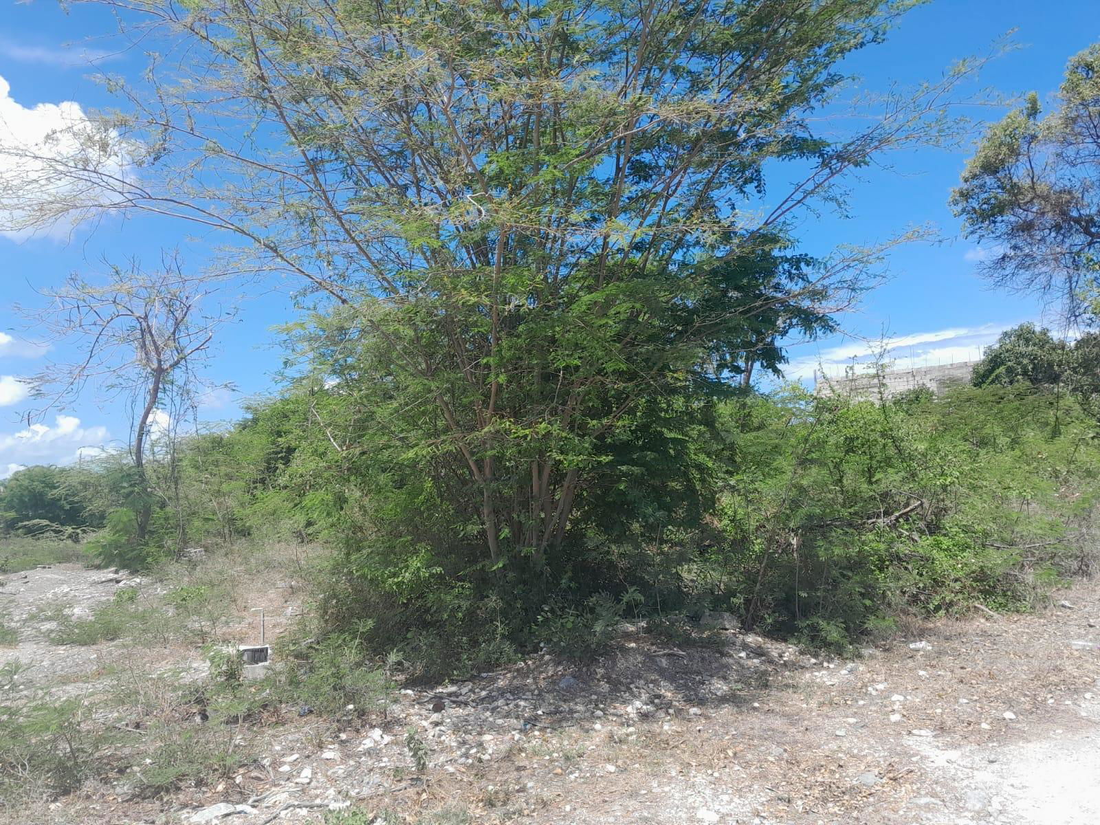 Sixth image of 1-36 Sea Breeze Avenue in Albion Estate, St. Thomas, Jamaica - property is For Sale