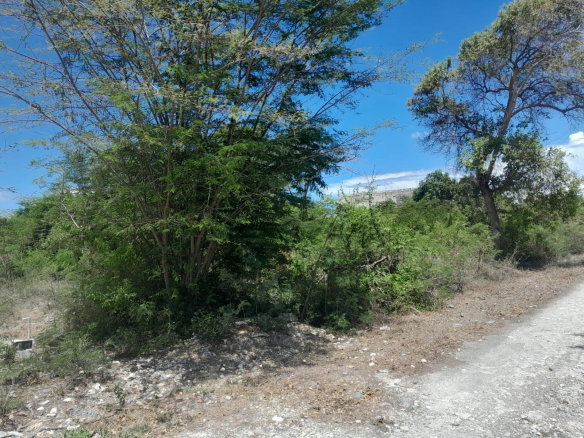 First image of 1-36 Sea Breeze Avenue in Albion Estate, St. Thomas, Jamaica - property is For Sale