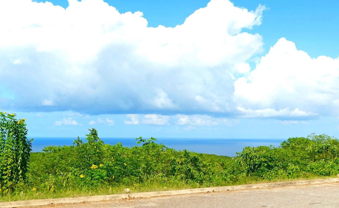 Eleventh image of 356- Tamarind Ridge in Duncans, Trelawny, Jamaica - property is For Sale