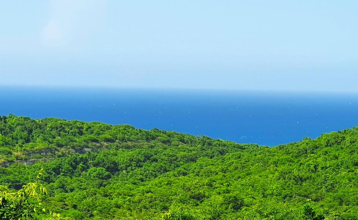 Fourteenth image of 356- Tamarind Ridge in Duncans, Trelawny, Jamaica - property is For Sale