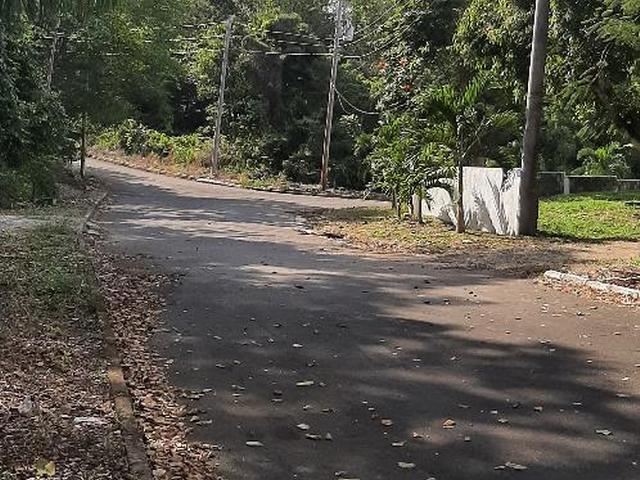 Sixth image of Lot 37 Roystonea in Tower Isle, St. Mary, Jamaica - property is For Sale