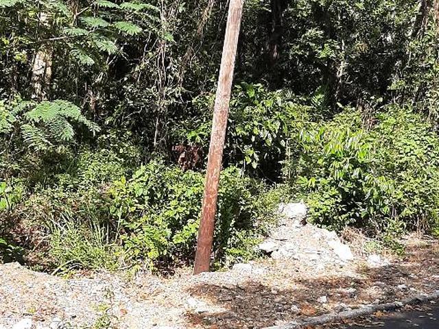 Seventh image of Lot 37 Roystonea in Tower Isle, St. Mary, Jamaica - property is For Sale