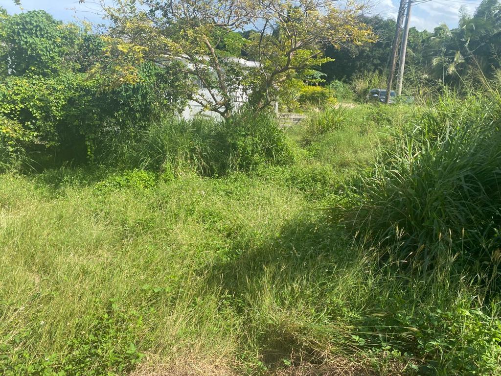 Fourth image of Lot 171 Tryall Gardens, Sandy Bay in Tryall Gardens, Hanover, Jamaica - property is For Sale