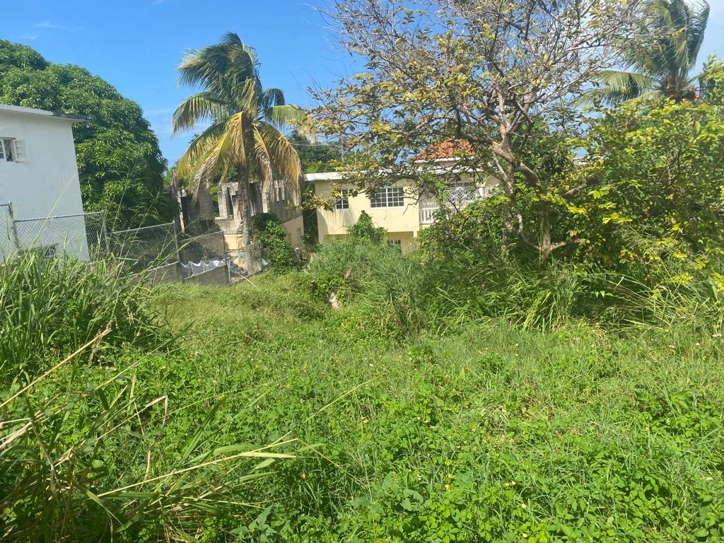 Fifth image of Lot 171 Tryall Gardens, Sandy Bay in Tryall Gardens, Hanover, Jamaica - property is For Sale