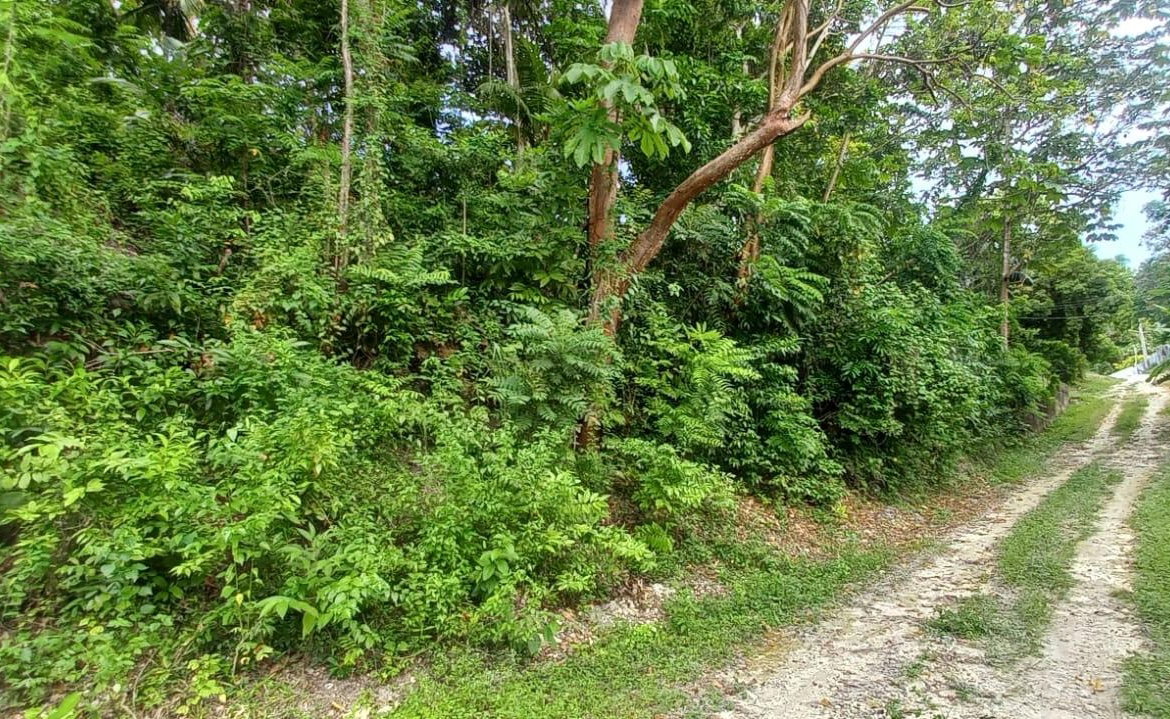 Second image of Deveronside Chester in Chester, St. Ann, Jamaica - property is For Sale