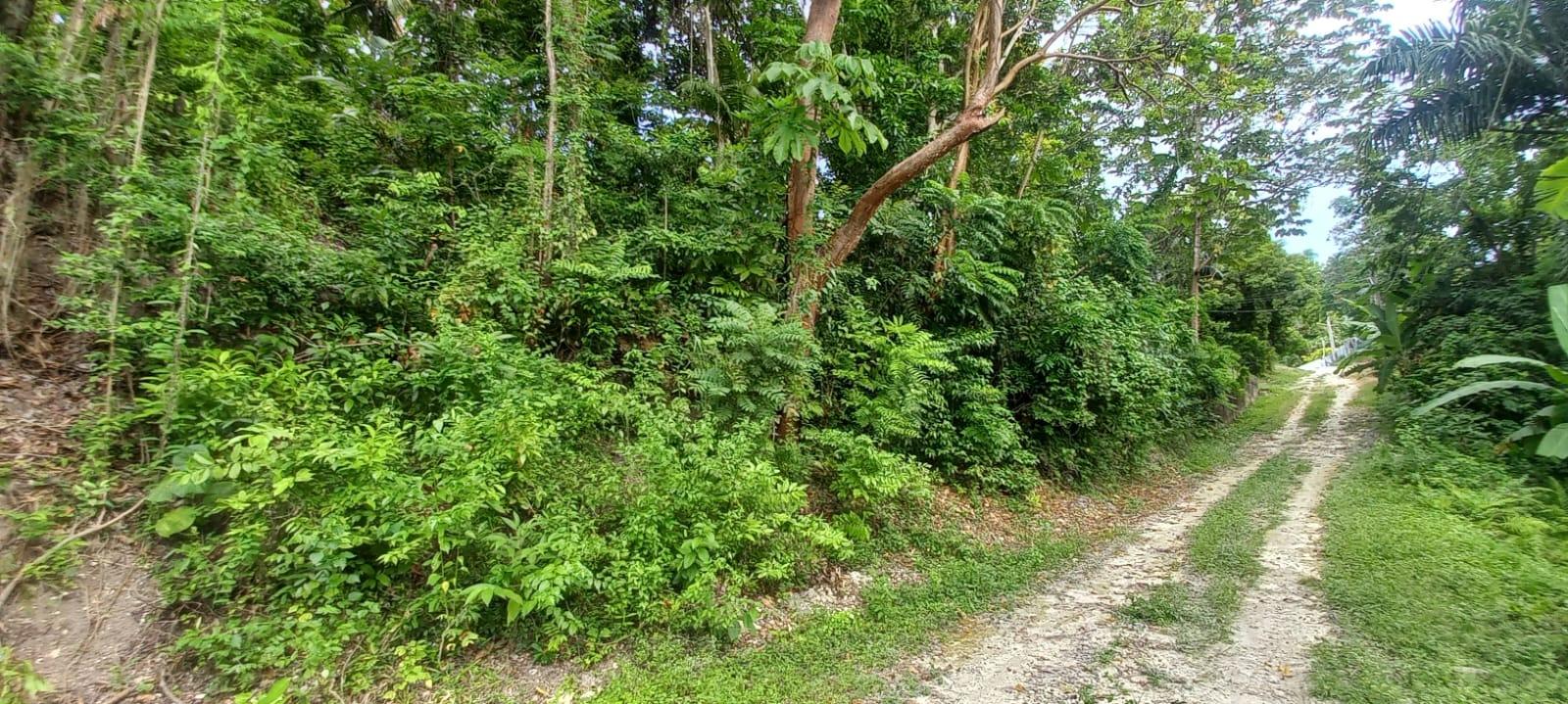 Build-Your-Dream-Home-on-a-Half-Acre-Lot-in-St.-Ann-Jamaica Second image of Deveronside Chester in Chester, St. Ann, Jamaica - property is For Sale