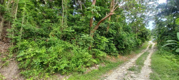 Second image of Deveronside Chester in Chester, St. Ann, Jamaica - property is For Sale