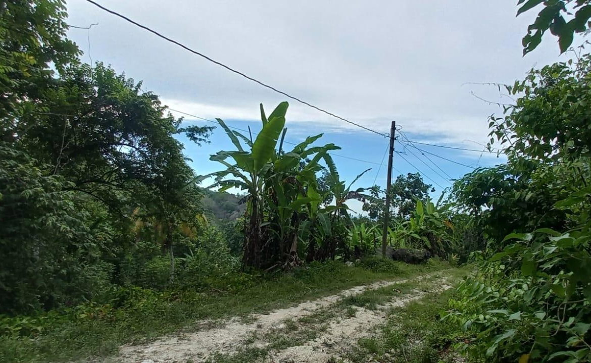 First image of Deveronside Chester in Chester, St. Ann, Jamaica - property is For Sale