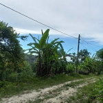 First image of Deveronside Chester in Chester, St. Ann, Jamaica - property is For Sale