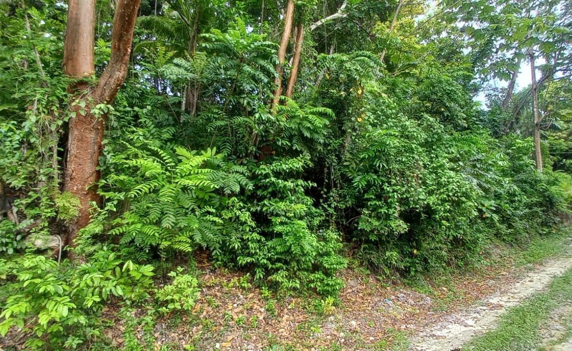Third image of Deveronside Chester in Chester, St. Ann, Jamaica - property is For Sale