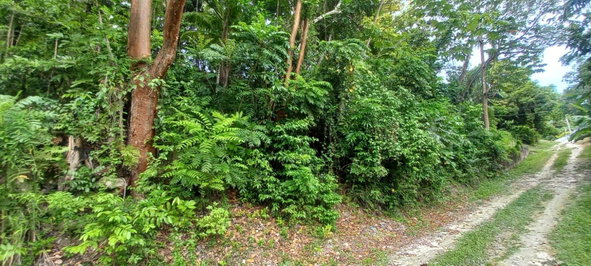 Third image of Deveronside Chester in Chester, St. Ann, Jamaica - property is For Sale