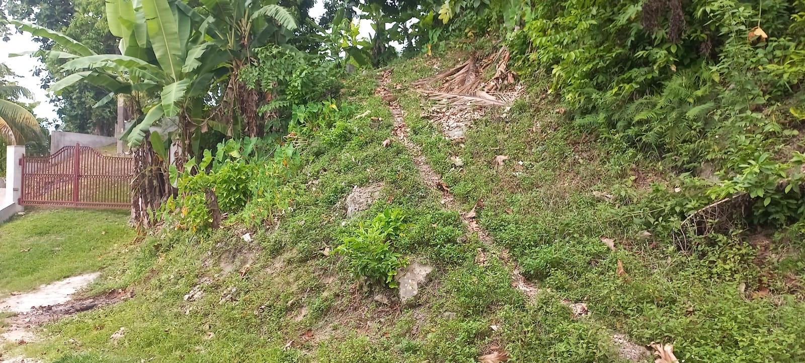 Build-Your-Dream-Home-on-a-Half-Acre-Lot-in-St.-Ann-Jamaica Fourth image of Deveronside Chester in Chester, St. Ann, Jamaica - property is For Sale