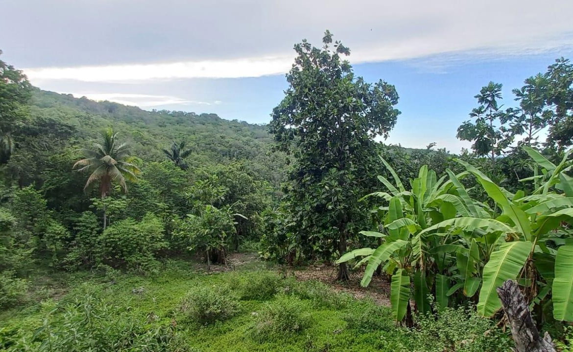 Fifth image of Deveronside Chester in Chester, St. Ann, Jamaica - property is For Sale