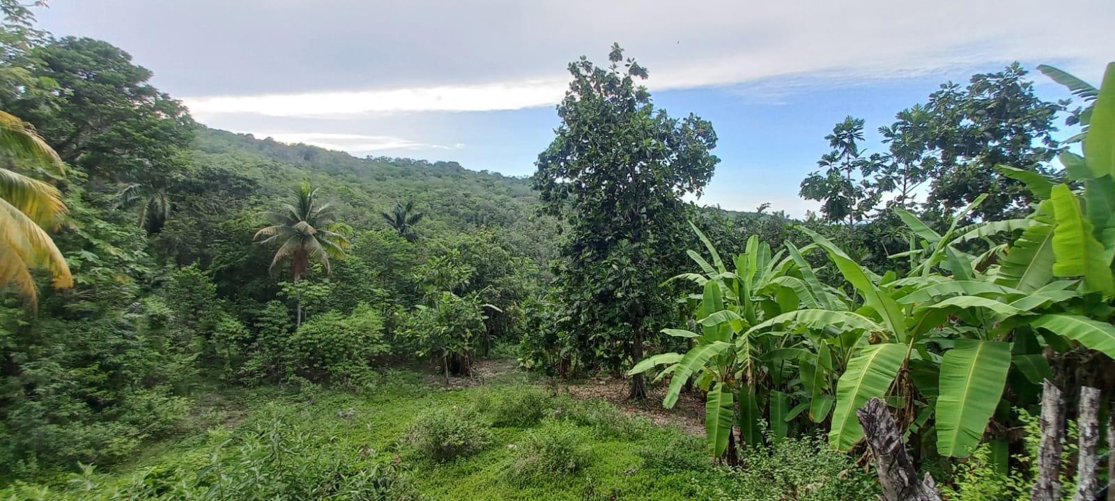 Build-Your-Dream-Home-on-a-Half-Acre-Lot-in-St.-Ann-Jamaica Fifth image of Deveronside Chester in Chester, St. Ann, Jamaica - property is For Sale