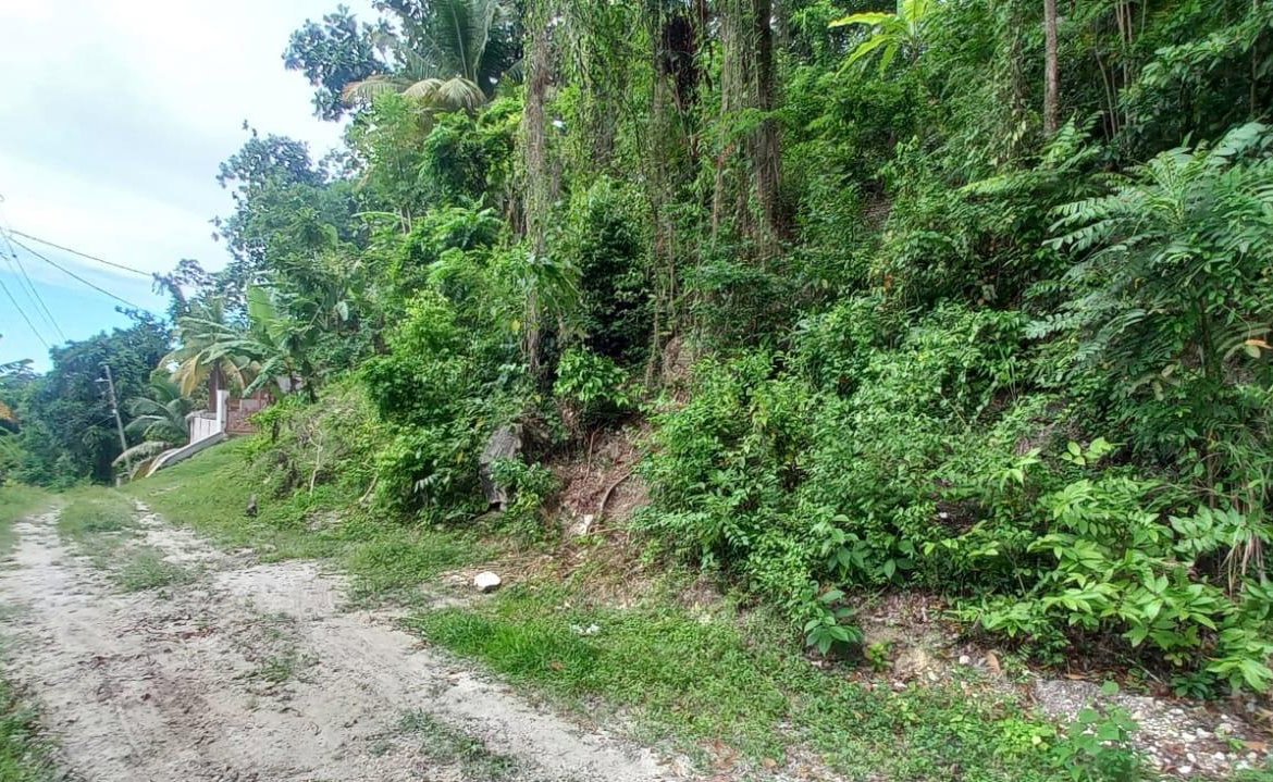 Sixth image of Deveronside Chester in Chester, St. Ann, Jamaica - property is For Sale