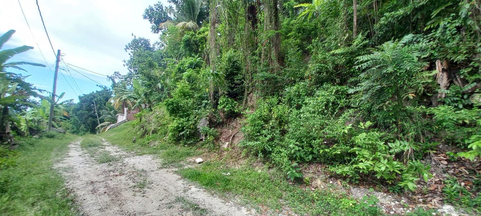 Build-Your-Dream-Home-on-a-Half-Acre-Lot-in-St.-Ann-Jamaica Sixth image of Deveronside Chester in Chester, St. Ann, Jamaica - property is For Sale