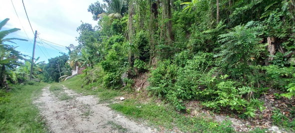 Sixth image of Deveronside Chester in Chester, St. Ann, Jamaica - property is For Sale