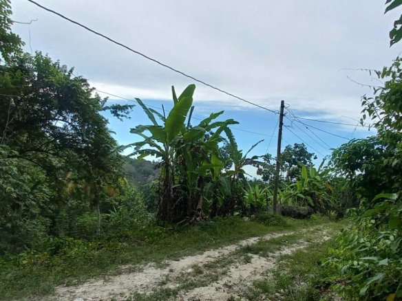 First image of Deveronside Chester in Chester, St. Ann, Jamaica - property is For Sale