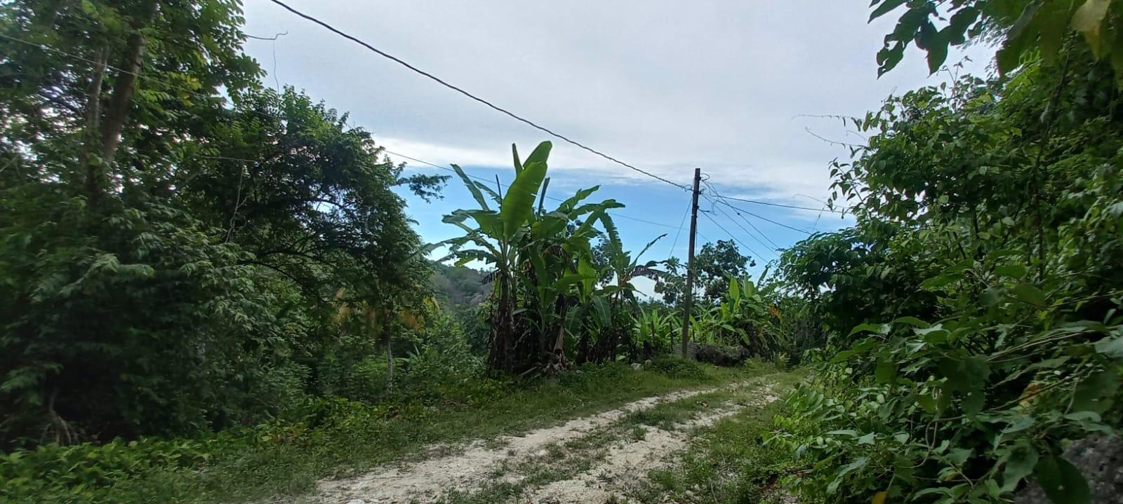 Build-Your-Dream-Home-on-a-Half-Acre-Lot-in-St.-Ann-Jamaica First image of Deveronside Chester in Chester, St. Ann, Jamaica - property is For Sale
