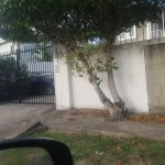 First image of Apt 3-10 Sandhurst Avenue in KINGSTON, Kingston, Jamaica - property is For Sale