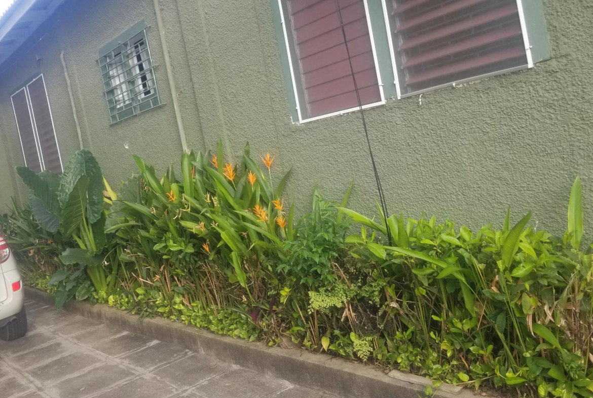 Fourth image of Apt 3-10 Sandhurst Avenue in KINGSTON, Kingston, Jamaica - property is For Sale