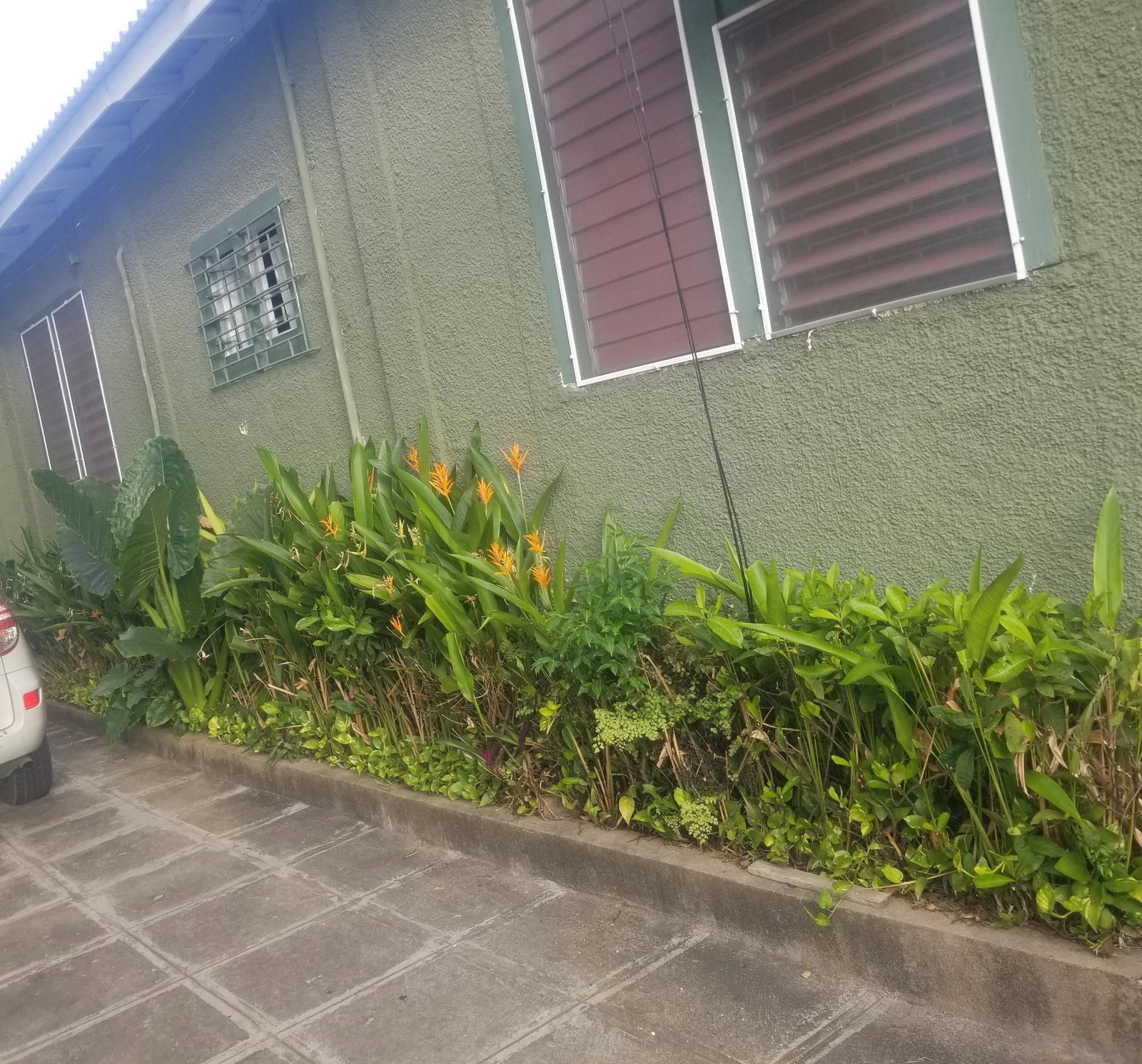 Fourth image of Apt 3-10 Sandhurst Avenue in KINGSTON, Kingston, Jamaica - property is For Sale