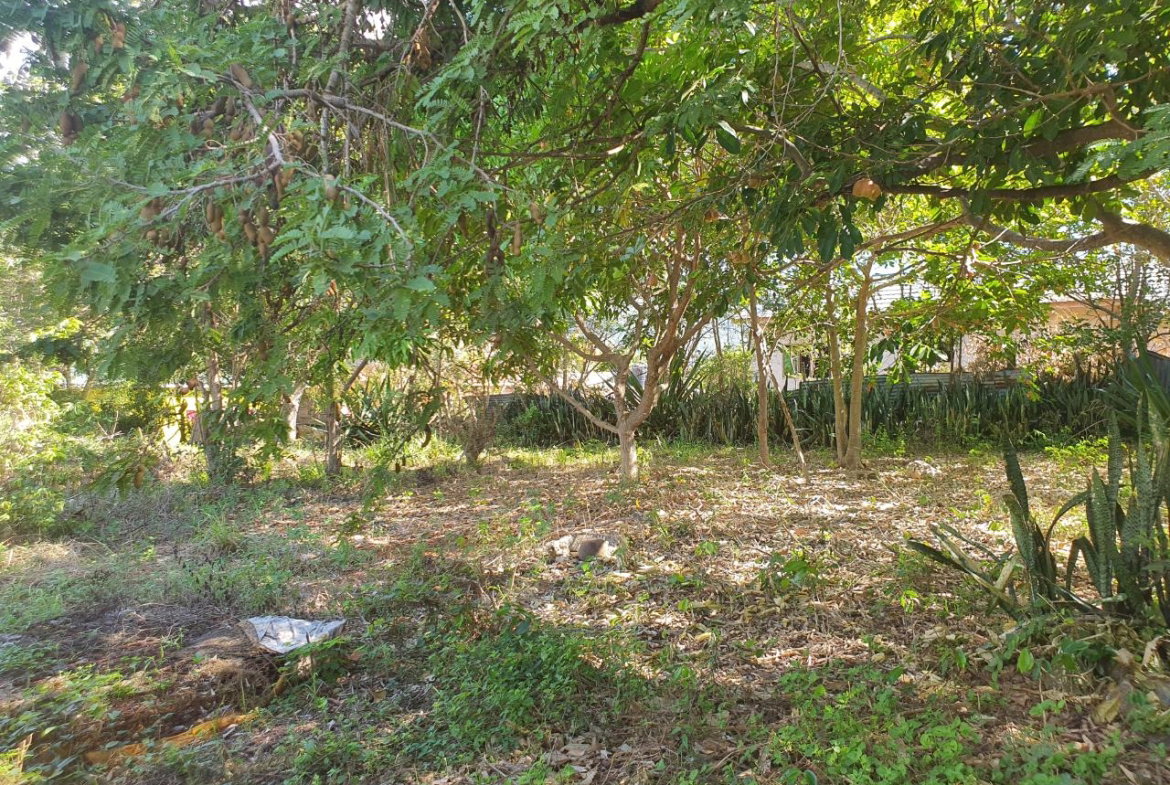 Eleventh image of Watson Hill, Lititz Manch in LITITZ, Manchester, Jamaica - property is For Sale