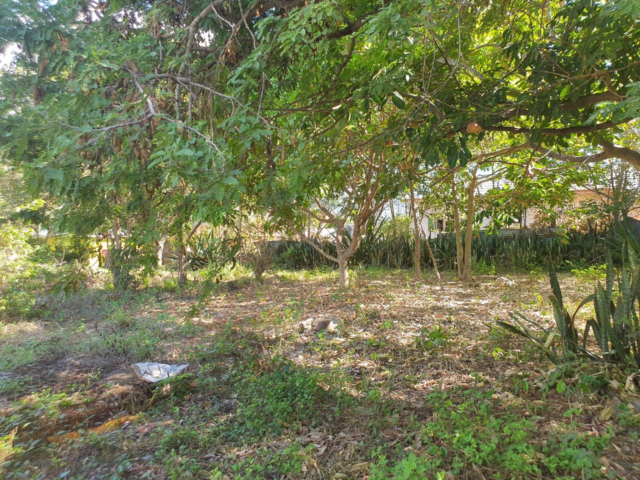 Eleventh image of Watson Hill, Lititz Manch in LITITZ, Manchester, Jamaica - property is For Sale