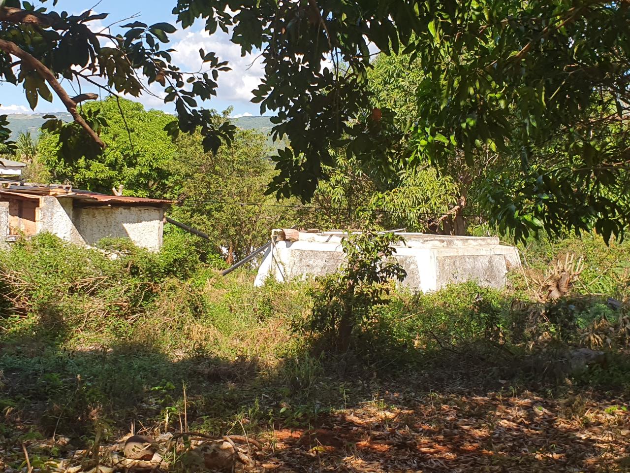Seventh image of Watson Hill, Lititz Manch in LITITZ, Manchester, Jamaica - property is For Sale