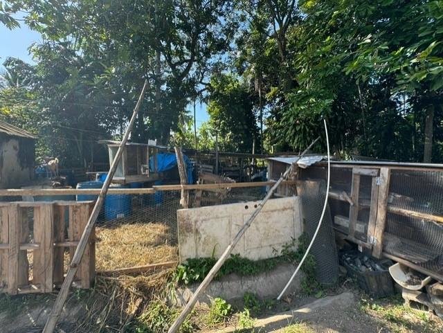 Eleventh image of Church Road, Bogwalk in Bog Walk, St. Catherine, Jamaica - property is For Sale