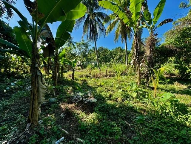 Fourteenth image of Church Road, Bogwalk in Bog Walk, St. Catherine, Jamaica - property is For Sale