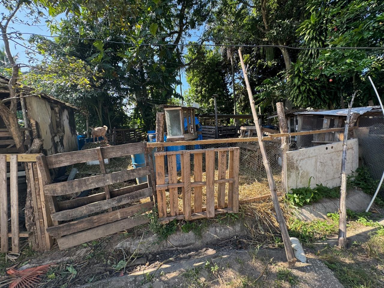 Sixteenth image of Church Road, Bogwalk in Bog Walk, St. Catherine, Jamaica - property is For Sale