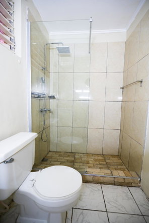 Twelfth image of 10-2-8 Norwood Avenue in Kingston 5, St. Andrew, Jamaica - property is For Rent