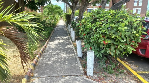 Seventh image of 5-7 Ruthven Road in Kingston 10, St. Andrew, Jamaica - property is For Rent