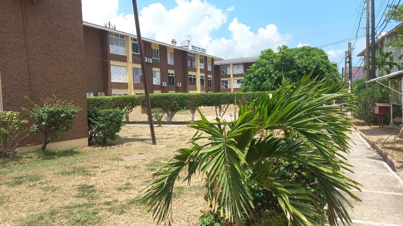 Charming-1-Bedroom-Apartment-for-Rent-in-Kingston-Jamaica Eighth image of 5-7 Ruthven Road in Kingston 10, St. Andrew, Jamaica - property is For Rent