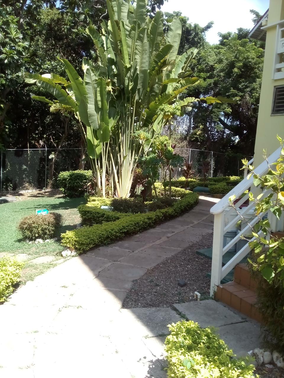 Twelfth image of 6- Mystic Ridge in Ocho Rios, St. Ann, Jamaica - property is For Rent