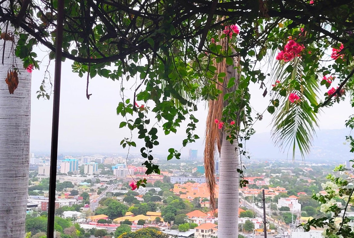 Sixteenth image of Apartment- Shenstone Drive in Beverly Hills, St. Andrew, Jamaica - property is For Rent