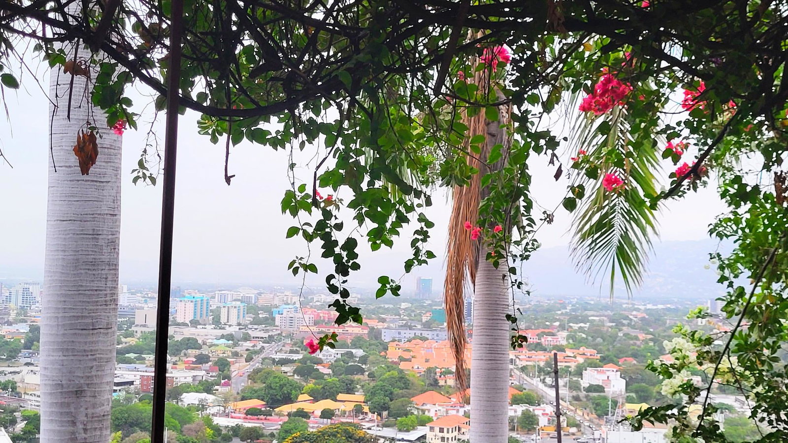 Sixteenth image of Apartment- Shenstone Drive in Beverly Hills, St. Andrew, Jamaica - property is For Rent