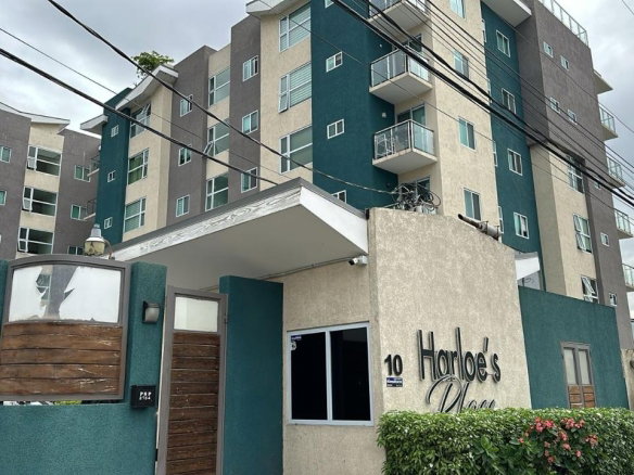First image of 203 Harloe- 10 Surbiton Road in Kingston 10, St. Andrew, Jamaica - property is For Rent