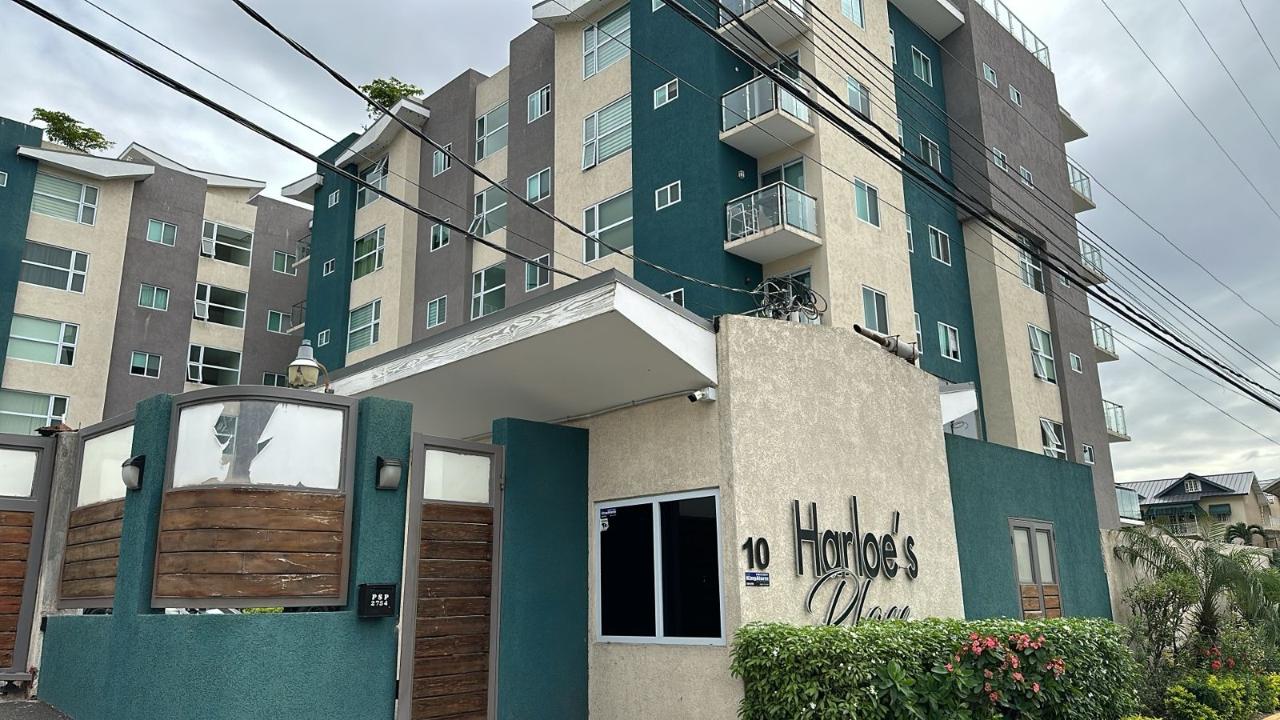 First image of 203 Harloe- 10 Surbiton Road in Kingston 10, St. Andrew, Jamaica - property is For Rent