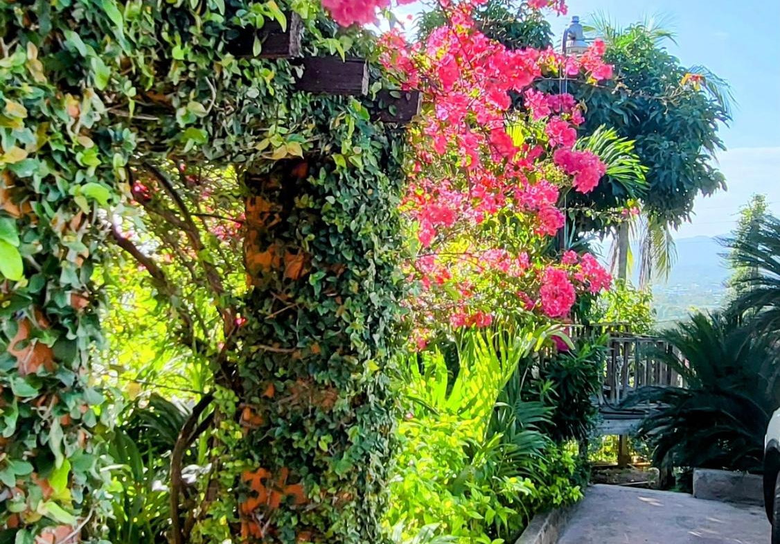 Second image of Apartment- Shenstone Drive in Beverly Hills, St. Andrew, Jamaica - property is For Rent