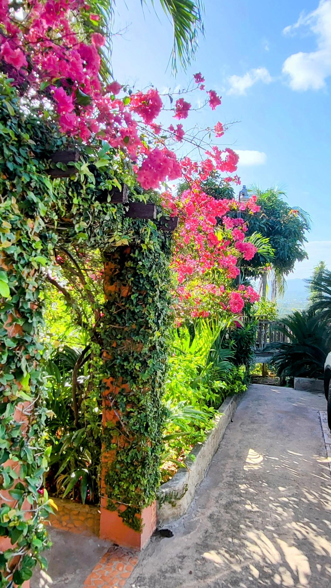 Second image of Apartment- Shenstone Drive in Beverly Hills, St. Andrew, Jamaica - property is For Rent