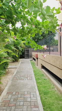 Twenty-Second image of 8 Washington Drive in Kingston 10, St. Andrew, Jamaica - property is For Sale
