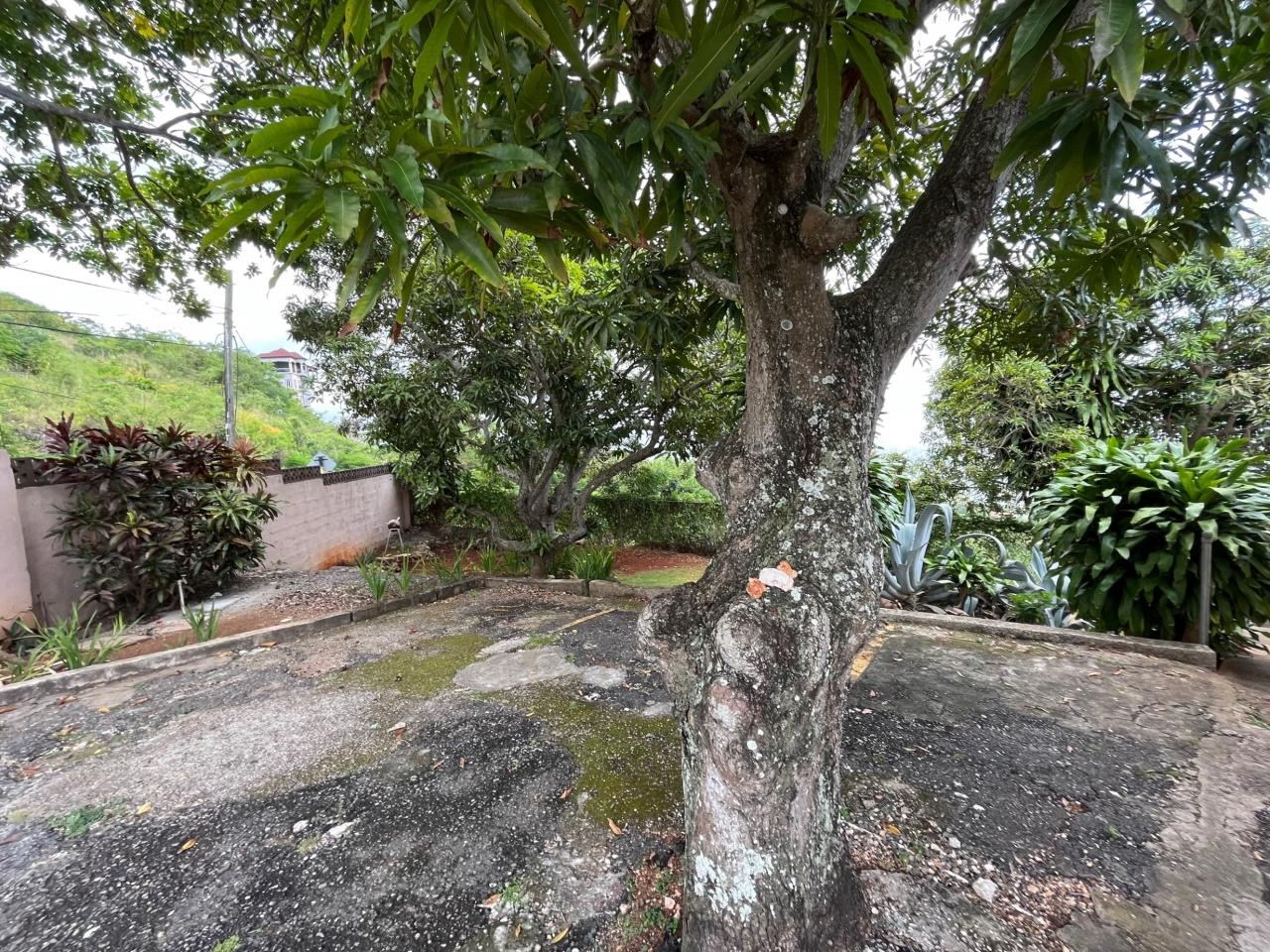 Eighth image of 8-1 Stanmore Heights, Red Hil in Red Hills, St. Andrew, Jamaica - property is For Sale