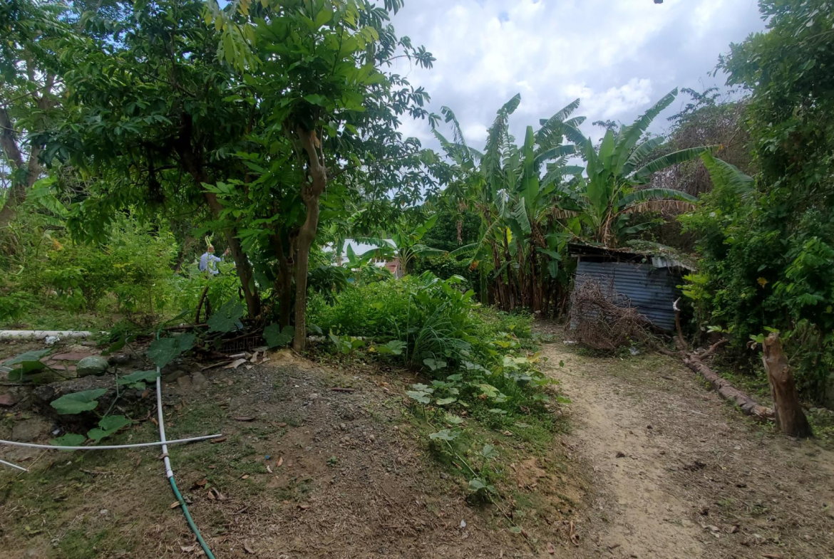 Eleventh image of Lot 65 Part of Lyssons in Lyssons, St. Thomas, Jamaica - property is For Sale