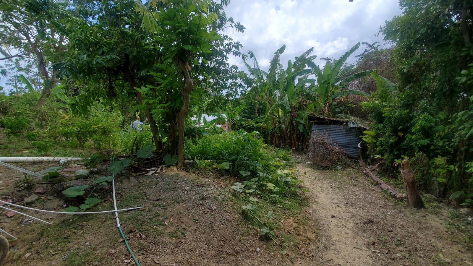 Eleventh image of Lot 65 Part of Lyssons in Lyssons, St. Thomas, Jamaica - property is For Sale
