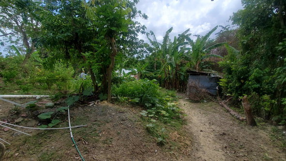 Eleventh image of Lot 65 Part of Lyssons in Lyssons, St. Thomas, Jamaica - property is For Sale