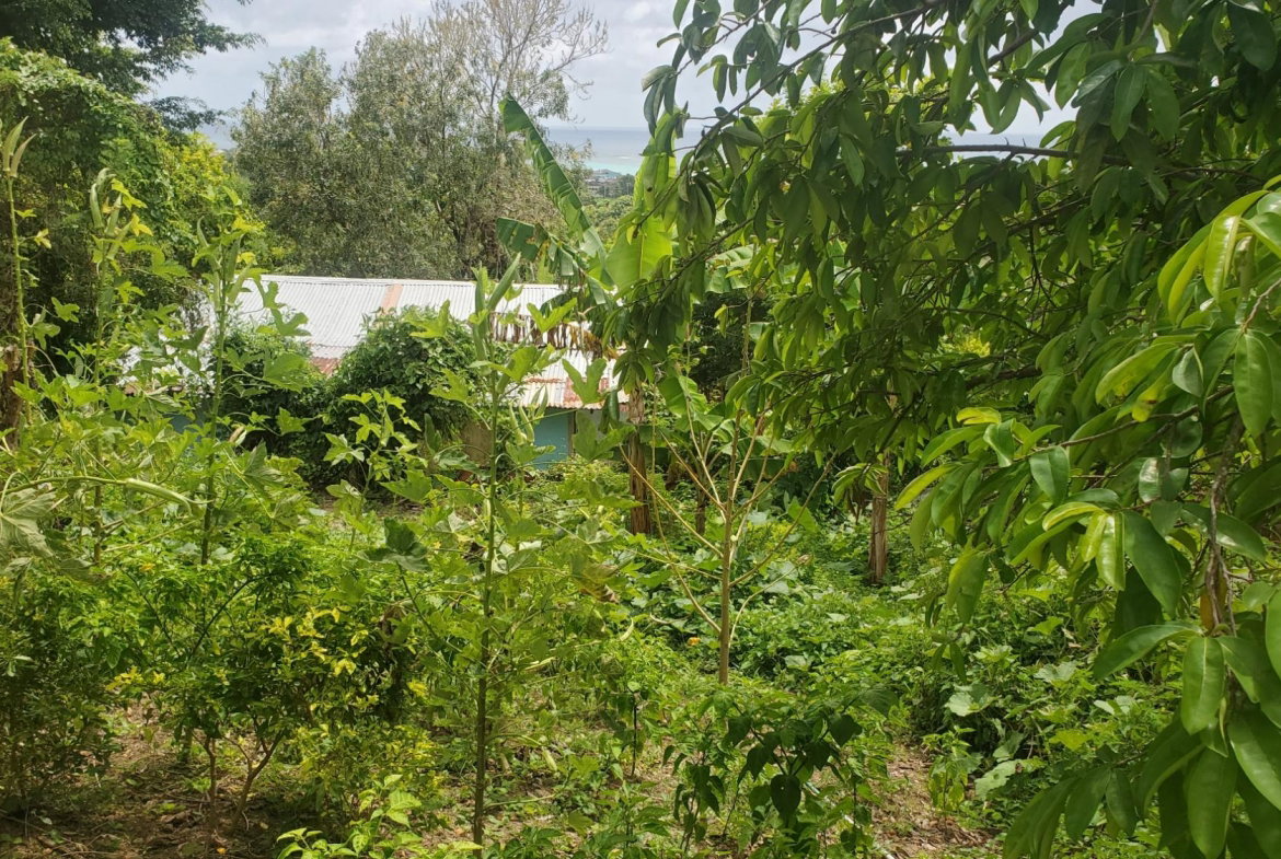 Twelfth image of Lot 65 Part of Lyssons in Lyssons, St. Thomas, Jamaica - property is For Sale