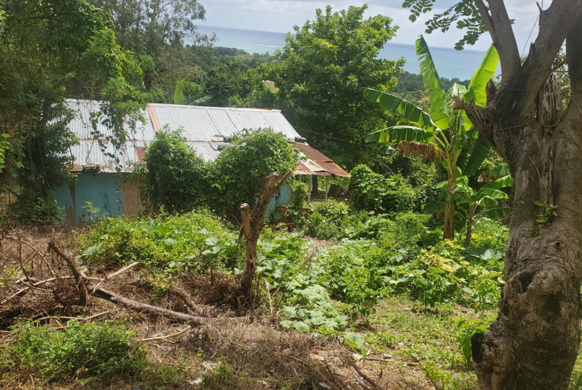 Thirteenth image of Lot 65 Part of Lyssons in Lyssons, St. Thomas, Jamaica - property is For Sale