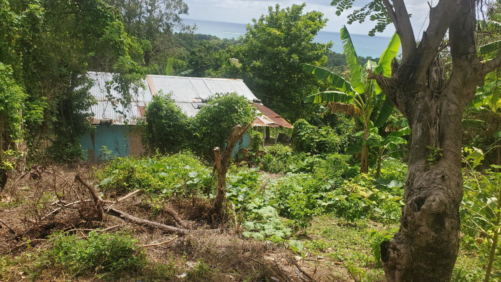 Thirteenth image of Lot 65 Part of Lyssons in Lyssons, St. Thomas, Jamaica - property is For Sale